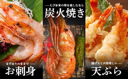 【訳あり】 ぼたんえび 1kg （小サイズ）
