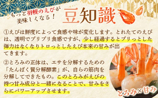 【訳あり】 ぼたんえび 1kg （小サイズ）