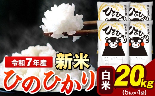 新米 令和7年産  ひのひかり 白米 20kg 《9月下旬-11月上旬頃出荷》 5kg×4袋 熊本県産（荒尾市産含む） 米 精米 ひの