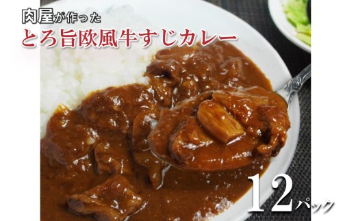 とろ旨欧風牛すじカレー（200g×12パック）【配送不可地域：北海道・沖縄】【069D-013】