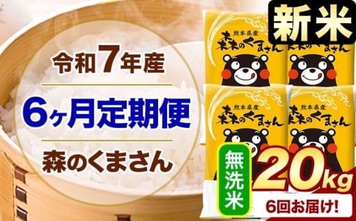 【6ヶ月定期便】新米 令和7年産 無洗米  森のくまさん 20kg 5kg×4袋  《お申込み月の翌月から出荷開始》 熊本県産 無洗米 精米 米 こめ コメ お米 kome