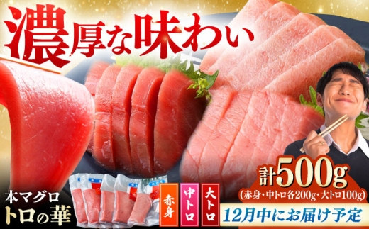 【12月中にお届け】対馬産 本マグロ 500g（赤身200g、中トロ200g、大トロ100g）≪対馬市≫【桐谷商店】[WAQ055-12]