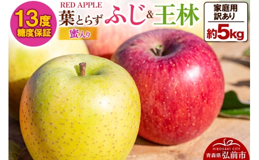 【25年12月発送】りんご 13度糖度保証【訳あり】家庭用 蜜入り 葉とらずふじ＆王林 約5kg【レビューキャンペーン】