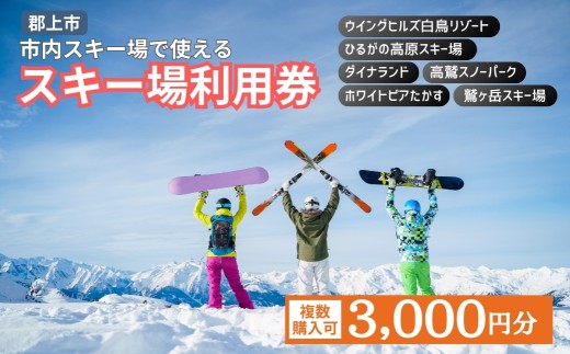 岐阜県郡上市 市内スキー場利用券 3000円分 2025-2026 高鷲・白鳥エリア利用可 ダイナランド・高鷲・鷲ヶ岳・白鳥・ひるがの・ホワイトピア 対応 チケット あとから選べる その他 10000円