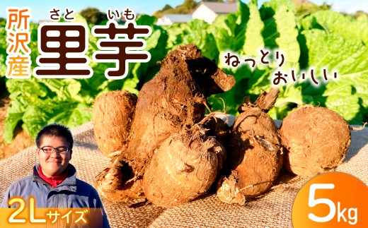 里芋 2Lサイズ 5kg | さといも サトイモ 芋 いも イモ 根菜 野菜 芋煮 煮物 煮込み 料理 鍋 和食 新鮮 掘りたて ねっとり 贈答用 ギフト 国産 産地直送 季節限定 三富 こうやま農園 埼玉県 所沢市