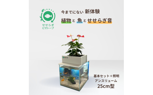せせらぎビオトープ　25cm型基本+照明セット（アンスリウム）