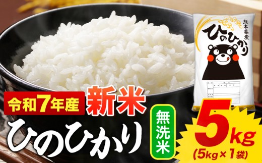 新米 無洗米 ひのひかり 5kg 令和7年産  熊本県産 ふるさと納税 無洗米  精米 ひの 米 こめ ふるさとのうぜい ヒノヒカリ コメ お米 おこめ 《9月下旬-11月上旬頃出荷》