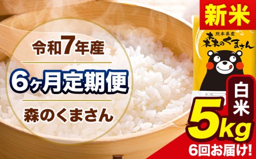 新米 令和7年産 森のくまさん 【6ヶ月定期便】 白米 《お申し込み月の翌月から出荷開始》 5kg (5kg×1袋) 計6回お届け 熊本県産 単一原料米 森くま 熊本県 玉東町
