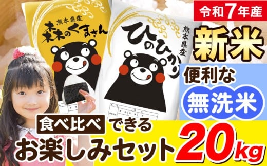 令和7年産 新米 無洗米 ひのひかり 森のくまさん 2種 食べ比べ 米 20kg 《9月下旬-11月上旬頃出荷》 ヒノヒカリ お米 こめ 高レビュー  熊本県産（荒尾市産含む） 精米 荒尾市 森くま ブランド米 ご飯