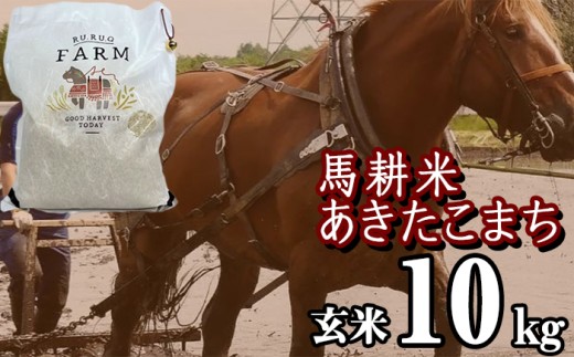 【 2026年 2月中旬より発送】 岩手県産 馬耕米 あきたこまち 玄米 10kg ／【株式会社スタディア】 お米 米 こめ コメ 馬ふん堆肥 使用 ご飯 ライス おにぎり 弁当 単一原料米 10キロ １０kg 馬耕 馬 ウマ うま 産地直送 国産 おすすめ 人気