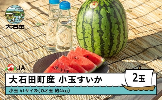 【先行予約】小玉すいか 4L×2玉  2026年産 令和8年産 ひとりじめ または ピノガール すいか スイカ  ja-sukoa4