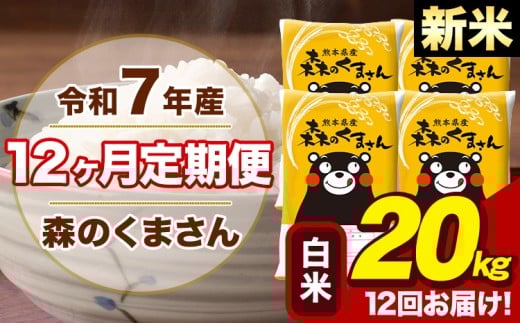 【12ヶ月定期便】令和7年産 新米 森のくまさん 白米 20kg 5kg×4袋 計12回お届け 《お申し込み月の翌月から出荷開始》 お米 こめ 熊本県産 ご飯 備蓄