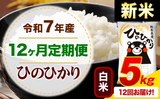 【12ヶ月定期便】新米 令和7年産 白米 ひのひかり 定期便 5kg《お申込み月の翌月から出荷開始》熊本県産 ふるさと納税 精米 ひの 米 こめ ふるさとのうぜい ヒノヒカリ コメ お米