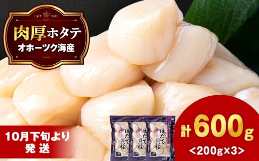 [10月下旬以降発送] ほたて 冷凍貝柱 冷凍(15粒前後)200g×3パック お取り寄せ 刺身 [横田水産]