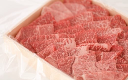 伊勢水沢牛 焼き肉用　500g 牛肉 牛和牛 ブランド牛 焼肉 BBQ 739984 - 三重県四日市市