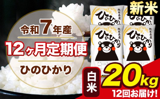 新米 令和7年産 【12ヶ月定期便】 ひのひかり 白米 20kg 5kg×4袋 計12回お届け 熊本県産 こめ コメ 白米 精米 荒尾市 ひの 米 定期 《お申込み月の翌月から出荷開始》
