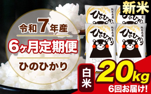 新米 令和7年産 【6ヶ月定期便】 ひのひかり 白米 20kg 5kg×4袋 計6回お届け 熊本県産 こめ コメ 白米 精米 荒尾市 ひの 米 定期 《お申込み月の翌月から出荷開始》