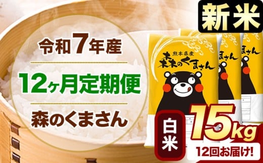 【12ヶ月定期便】新米 令和7年産 白米  森のくまさん 15kg 5kg×3袋  《お申込み月の翌月から出荷開始》 熊本県産 白米 精米 米 こめ コメ お米 kome