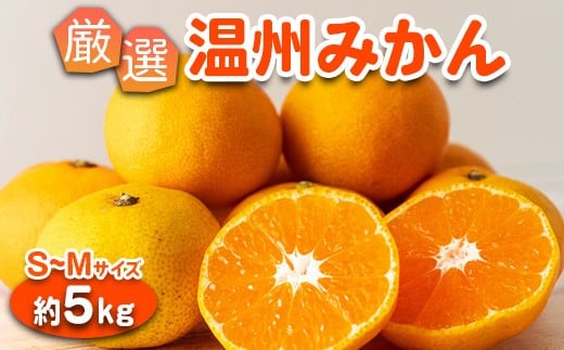 みかん 温州みかん 厳選 5kg S-M サイズ 小玉みかん｜GOGO農園 和歌山県 日高川町 みかん 柑橘類 うんしゅうみかん みかん 柑橘 蜜柑 フルーツ 送料無料