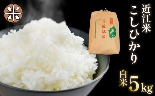 令和7年産 白米 5㎏ こしひかり 5kg × 1袋 精米 近江米 コシヒカリ 国産 お米 米 おこめ ごはん ご飯 白飯 しろめし こめ ゴハン 御飯 滋賀県産 竜王 ふるさと ランキング 人気 おすすめ
