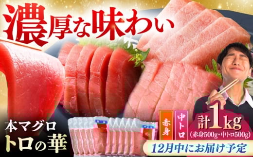 【12月中にお届け】対馬産 本マグロ 1kg（赤身500g、中トロ500g） ≪対馬市≫【桐谷商店】[WAQ051-12] 2276549 - 長崎県対馬市