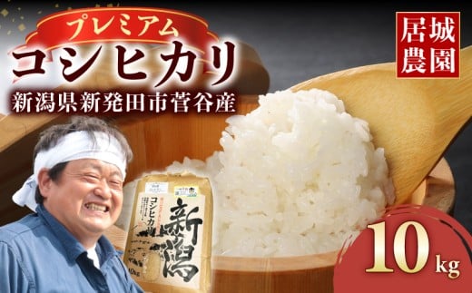【2026年2月発送】プレミアム コシヒカリ 10kg 令和7年産 特別栽培米 こしひかり プレミアムコシヒカリ  精米 白米 ご飯 おにぎり 弁当 新潟県産 新発田産 菅谷産 新潟 米 お米 こめ 居城農園 菅谷 新潟県 米 新潟県 新発田市 D79_202602