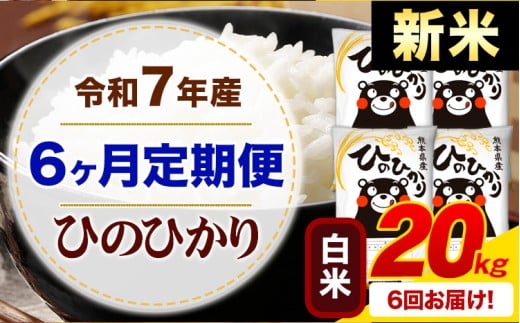 【6ヶ月定期便】新米 令和7年産 白米 ひのひかり 定期便 20kg《お申込み月の翌月から出荷開始》熊本県産 ふるさと納税 精米 ひの 米 こめ ふるさとのうぜい ヒノヒカリ コメ お米
