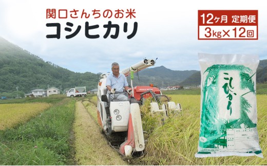 米 定期便 12ヶ月 関口さんちのお米 コシヒカリ 3kg お米 こめ コメ 精米 白米 ご飯 こしひかり 長野 信州 12回 お楽しみ [№5312-0930]