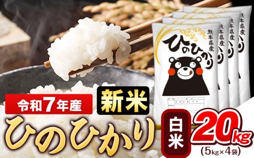 新米 令和7年産 白米 ひのひかり 20kg《9月下旬-11月上旬頃出荷》令和7年産 熊本県産 ふるさと納税 白米 精米 ひの 米 こめ ふるさとのうぜい ヒノヒカリ コメ お米 おこめ