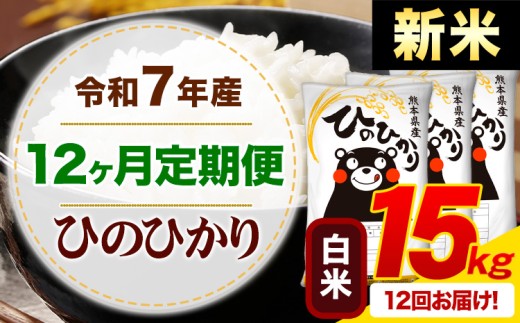 【12ヶ月定期便】新米 令和7年産 白米 ひのひかり 定期便 15kg《お申込み月の翌月から出荷開始》熊本県産 ふるさと納税 精米 ひの 米 こめ ふるさとのうぜい ヒノヒカリ コメ お米