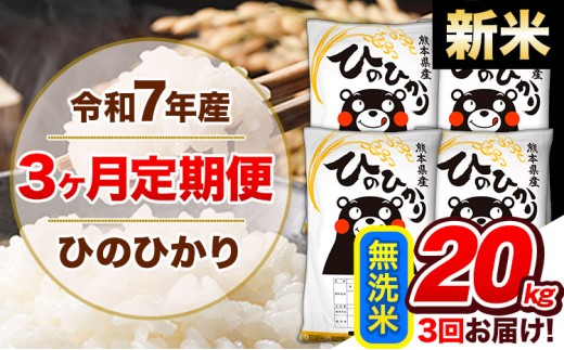 【3ヶ月定期便】新米 令和7年産  定期便 無洗米 ひのひかり20kg 《申込み翌月から発送》令和7年産 熊本県産 ふるさと納税 精米 ひの 米 こめ ふるさとのうぜい ヒノヒカリ コメ 熊本米 ひのもり