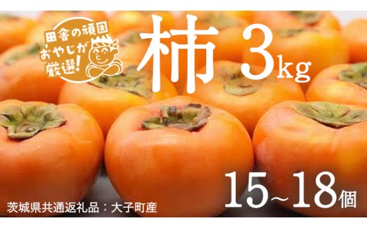 柿 3kg（15〜18個）【10月より発送開始】（茨城県共通返礼品 [柿]：大子町産） 柿 かき カキ 果物 フルーツ 茨城県産
