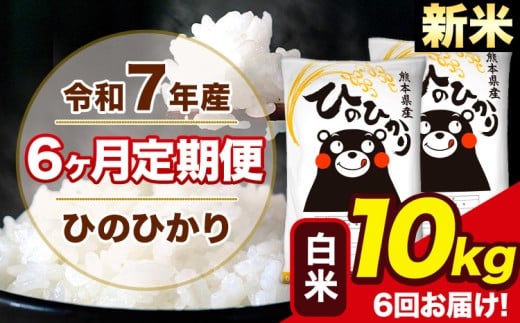 新米 令和7年産 【6ヶ月定期便】 ひのひかり 白米 10kg 5kg×2袋 計3回お届け 熊本県産 こめ コメ 白米 精米 荒尾市 ひの 米 定期 《お申込み月の翌月から出荷開始》