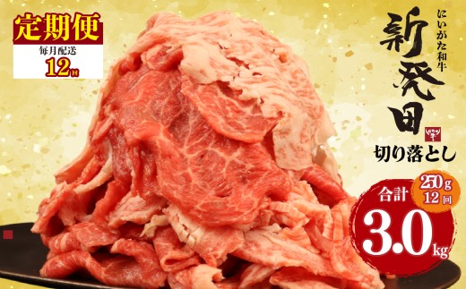 【定期便】 切り落とし 250g×12回 計3kg 新発田牛 黒毛和牛 霜降り 和牛 ブランド牛 国産 しゃぶしゃぶ 小間切れ 小分け 贈答 お歳暮 新潟 新発田 新潟県 新発田市 近江牛 神戸牛 松阪牛 米沢牛 三大和牛 に負けない アルビレックス アルビレックス新潟 えのもとミート enomoto025
