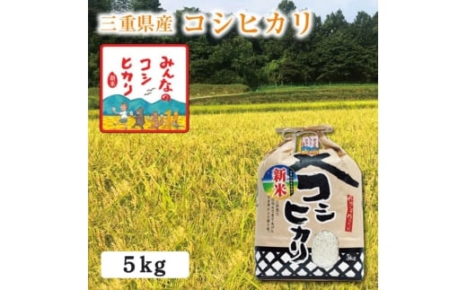 【選べる精米率】新米 令和7年産 三重県産 コシヒカリ 5kg［白米 玄米 5分つき米 7分つき米]　5分つき米