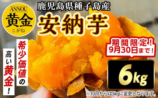 【期間限定】種子島産安納黄金いも6kg Sサイズ 2277594 - 鹿児島県中種子町