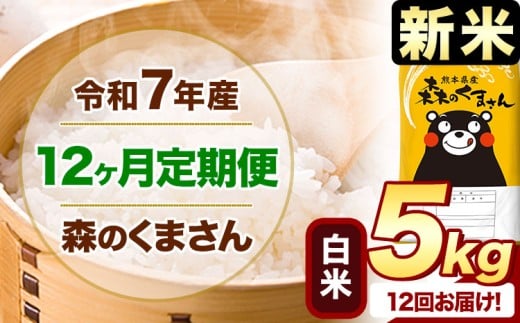【12ヶ月定期便】新米 令和7年産 白米  森のくまさん 5kg 5kg×1袋  《お申込み月の翌月から出荷開始》 熊本県産 白米 精米 米 こめ コメ お米 kome