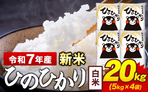 新米 令和7年産 白米 米 ひのひかり 20kg《9月下旬-11月上旬頃出荷》熊本県 菊池市 国産 熊本県産 白米 精米 送料無料 ヒノヒカリ こめ お米 