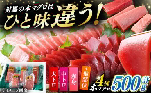 【通常配送】対馬産 生 本マグロ 500g （赤身、中トロ、大トロ）《対馬市》【対海】 [WAH025] 2276528 - 長崎県対馬市