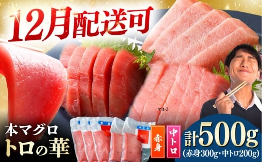 【12月配送可能】対馬産 本マグロ 500g（赤身300g、中トロ200g） ≪対馬市≫【桐谷商店】 [WAQ043]