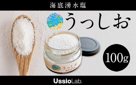 YE01 海底湧水塩うっしお 100g