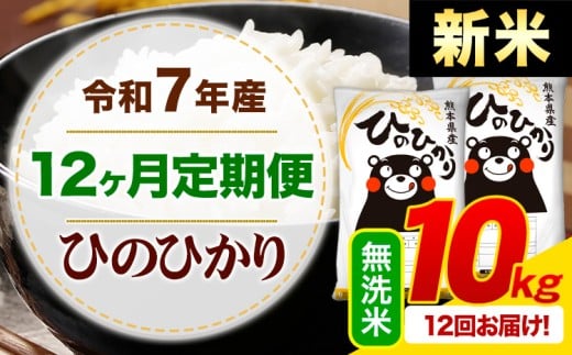 【12ヶ月定期便】新米 令和7年産 無洗米 ひのひかり 定期便 10kg《お申込み月の翌月から出荷開始》熊本県産 ふるさと納税 精米 ひの 米 こめ ふるさとのうぜい ヒノヒカリ コメ お米