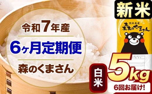【6ヶ月定期便】新米 令和7年産 白米  森のくまさん 5kg 5kg×1袋  《お申込み月の翌月から出荷開始》 熊本県産 白米 精米 米 こめ コメ お米 kome