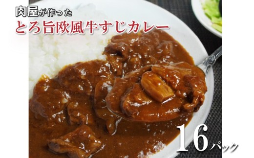 とろ旨欧風牛すじカレー（200g×16パック）【配送不可地域：北海道・沖縄】【069D-014】