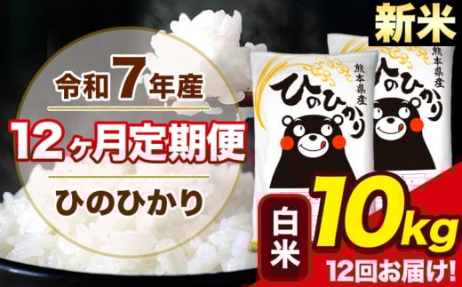 新米 令和7年産 【12ヶ月定期便】ひのひかり 白米 10kg 5kg×2袋 計12回お届け 熊本県産 こめ コメ 白米 精米 荒尾市 ひの 米 定期 《お申込み月の翌月から出荷開始》