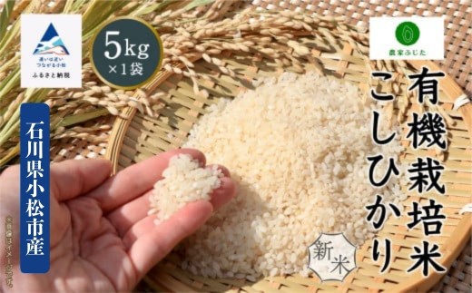 コシヒカリ 5kg 有機栽培米 令和7年産 有機JAS認定 こしひかり 精米 コメ お米 新米 石川県産 小松市産 【農家ふじた】 2276202 - 石川県小松市