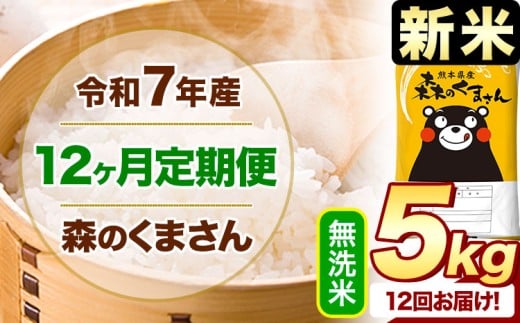 【12ヶ月定期便】新米 令和7年産 無洗米  森のくまさん 5kg 5kg×1袋  《お申込み月の翌月から出荷開始》 熊本県産 無洗米 精米 米 こめ コメ お米 kome