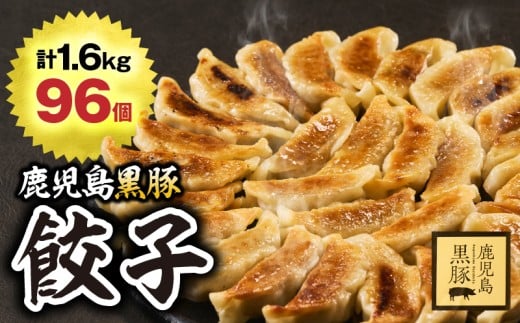 1289-1 鹿児島黒豚 餃子 1.6kg＜96個＞　KN054-004