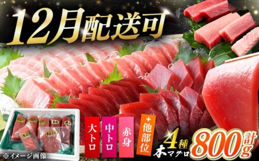 【12月配送可能】対馬産 生 本マグロ 800g （赤身、中トロ、大トロ）《対馬市》 【対海】 中トロ 大トロ まぐろ マグロ 鮪 生まぐろ 冷蔵 海鮮 鮮魚 新鮮 [WAH026]