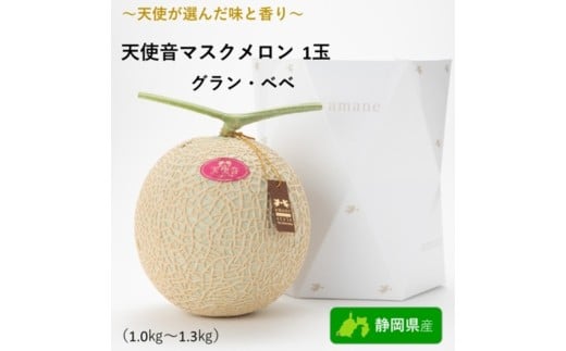 天使音（あまね）マスクメロン　グラン・べべ　1玉【配送不可：離島】 [№5786-4111]